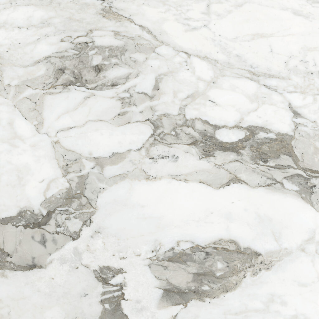 Calacatta Grey Big Box Tile Ceramic & Porcelain Tiles Style to